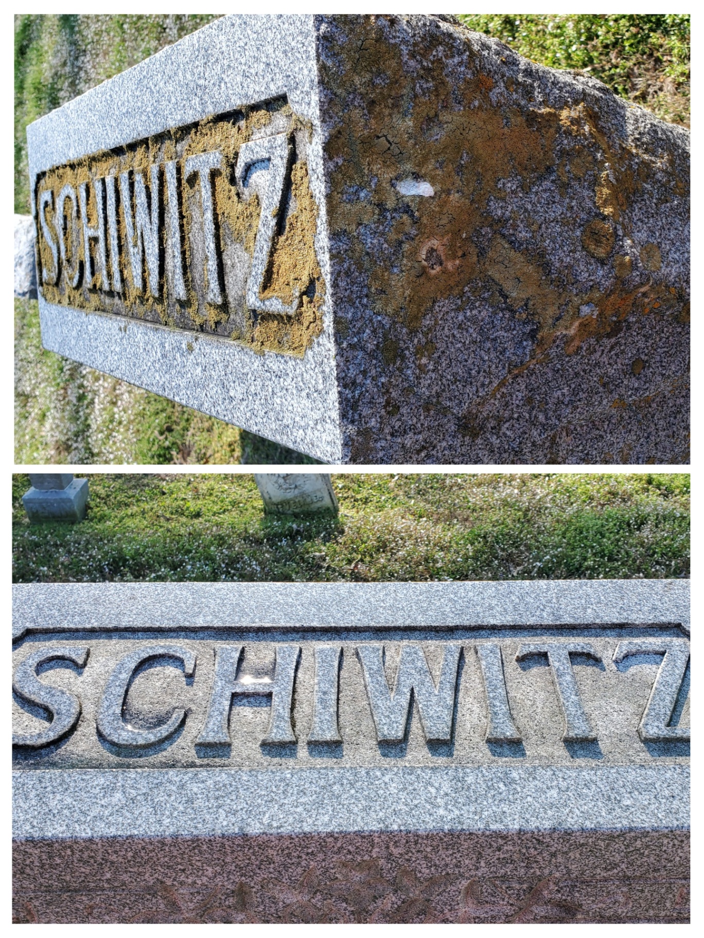 Before and after: Lichen & biological growth removal